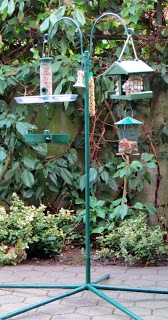 Vogelfütterung im Garten